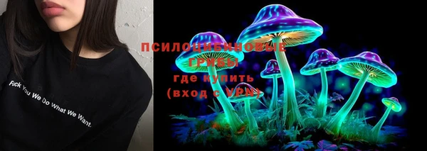 мяу мяу мука Сатка