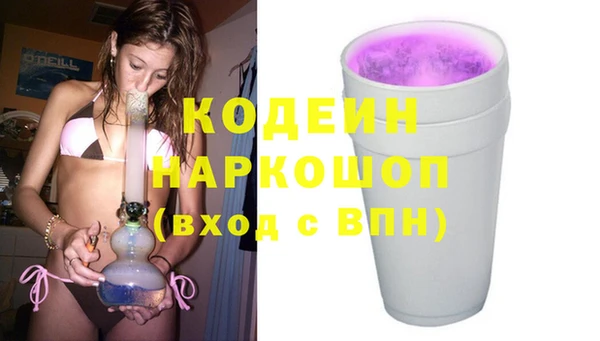 стаф Абаза