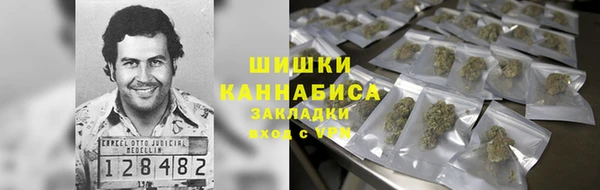стаф Абаза