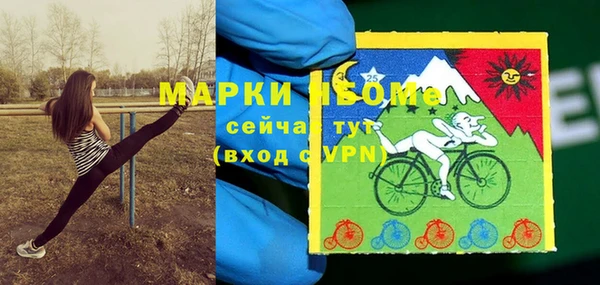 стаф Абаза